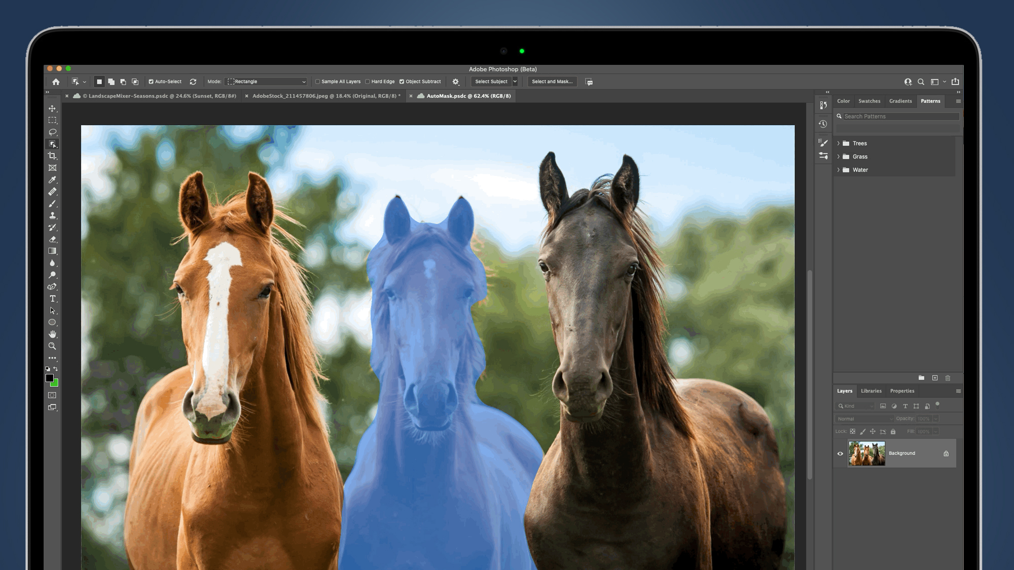 The Photoshop auto-mask tool being used on a photo of three horses