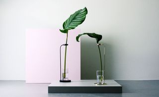 Vases, by Dubokk