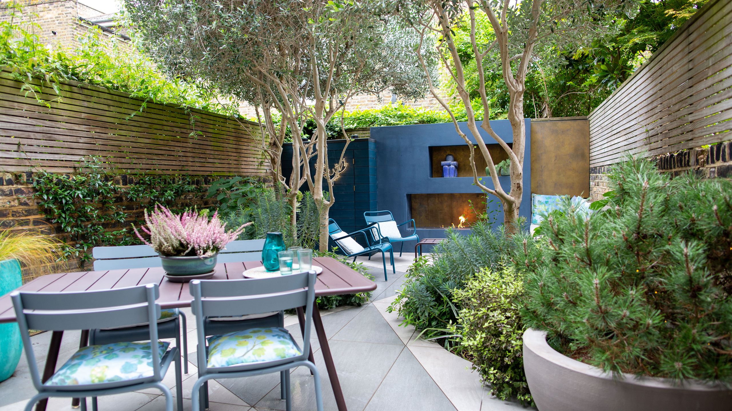 8 low-maintenance Mediterranean plants that can cope with hot, sunny weather – they'll thrive and flower despite dry spells