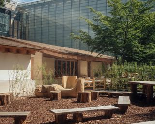 Natural History Museum Gardens, following a transformation led by Feilden Fowles