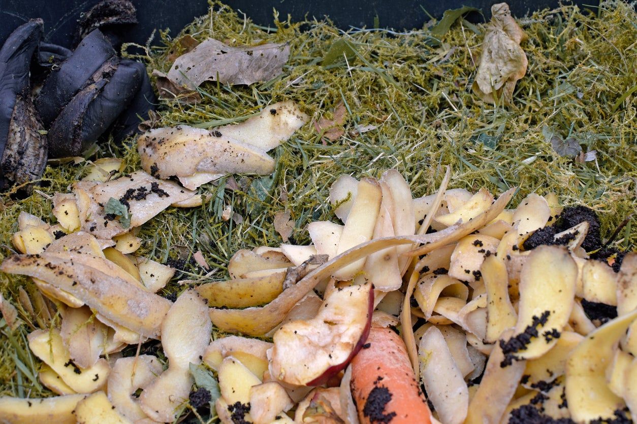 Compost Pile With Potato Skin Peelings