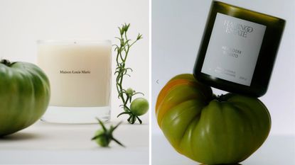 best tomato candles