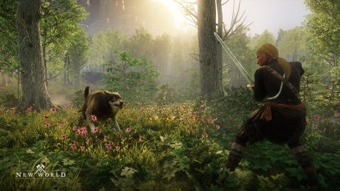 videogame exec on the success of 'New World' and why