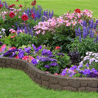 flower bed with multi coloured flowers with rubber edging separating it to the lawn