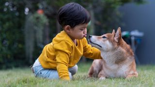 are shiba inus good with kids?