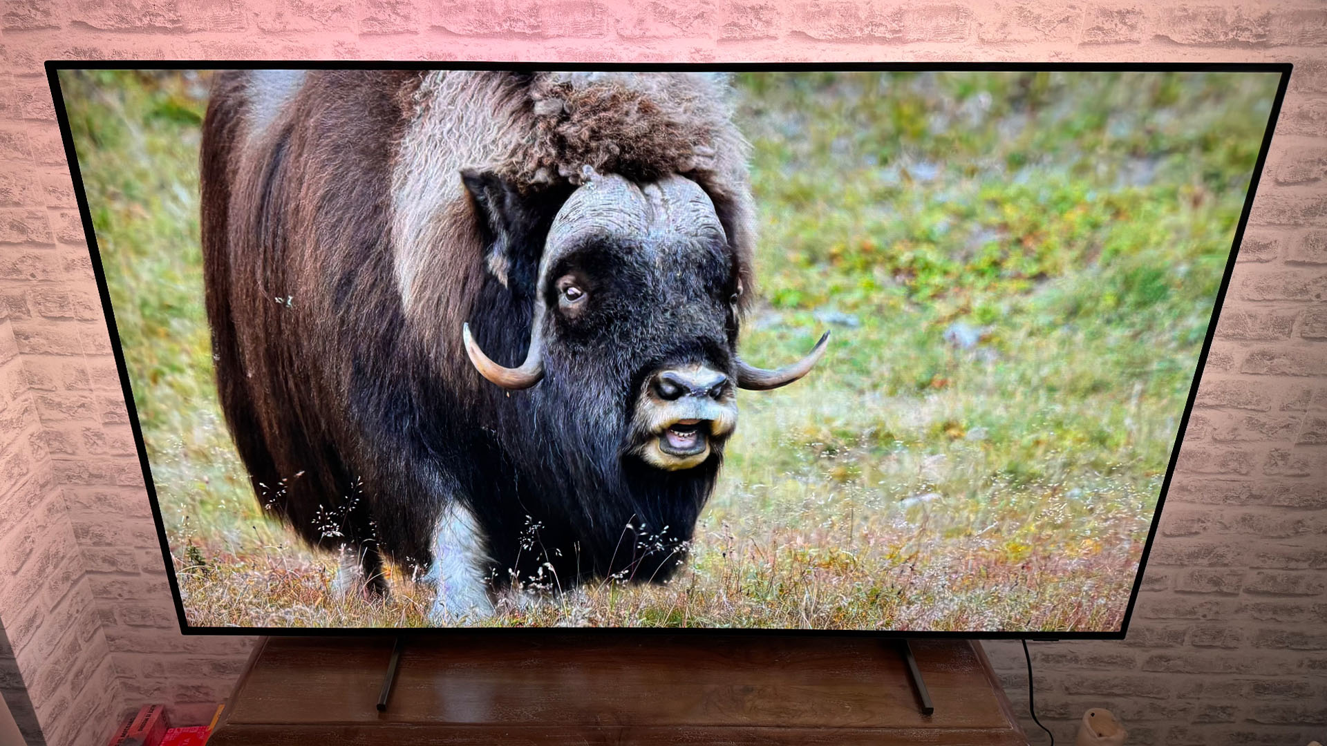 Philips OLED760 OLED TV in front of brick wall, on screen is bison