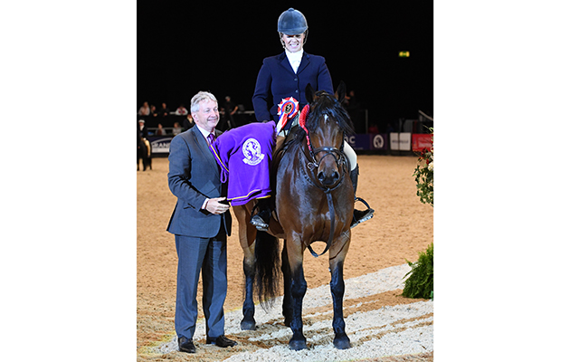 LABURNUM RICHARD owned by Amy Smith ridden or exhibited by Amy Smith (Exc 143) M&amp;amp;M Working Hunter Pony of The Year Championship during the Horse of the Year Show at the NEC near Birmingham, UK between 4th - 8th October 2017