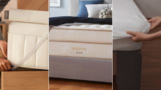 A composite image of the Tempur-Adapt mattress topper, Saaatva Classic mattress and Coop Sleep Goods Ultra Tech Waterproof mattress protector