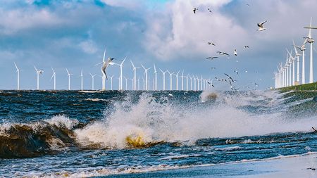 View of offshore wind turbines