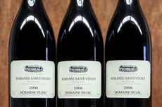 Dujac wines, Burgundy