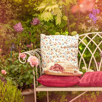 vintage bench in garden
