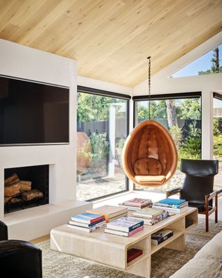 White living room with hanging chair