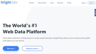 Website screenshot for Bright Data