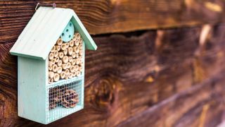 A bee house hanging on a wooden shed