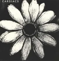 A Little Man And A House And The Whole World Window (The Alphabet Business Concern, 1988)