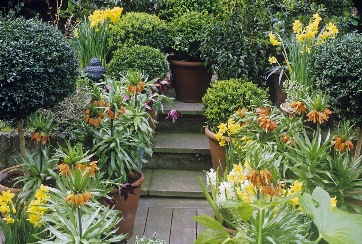 30 simple garden ideas – easy and speedy upgrades for a stylish outdoor