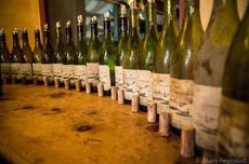 daumas gassac white wines