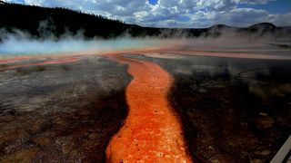 A picture of Midway Geiser in Yellowstone National Park shows streams of red liquid flowing away from its center.