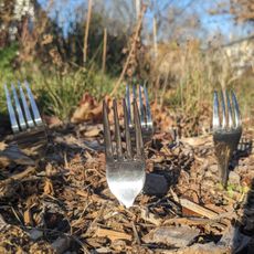 Four forks sticking out of the ground in a garden