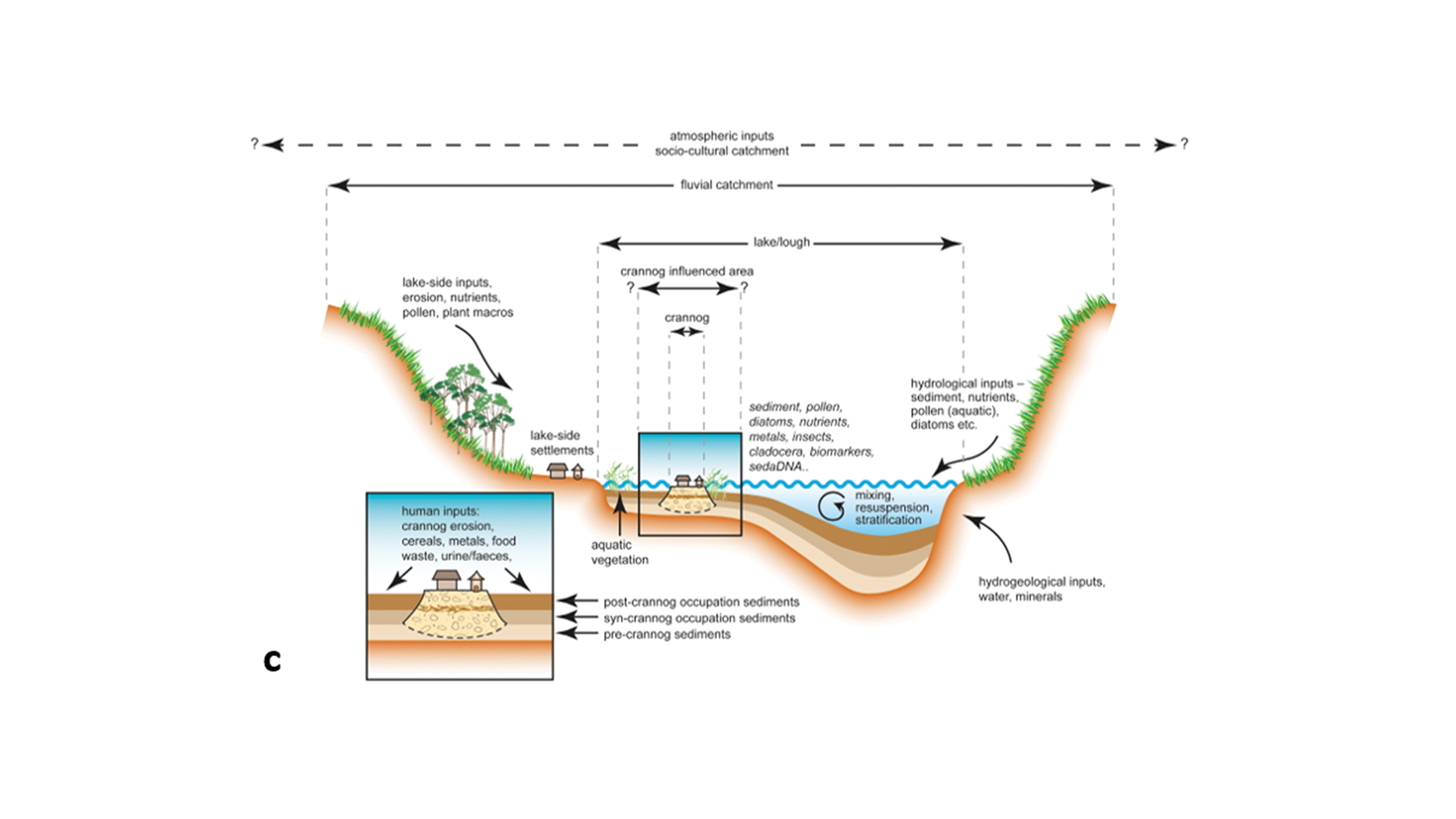 A layered model of a lake crannog and the nearby sediments.