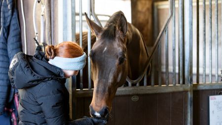 World Cup winner Becky Moody&rsquo;s horse Jagerbomb relaxing in his stable at home
