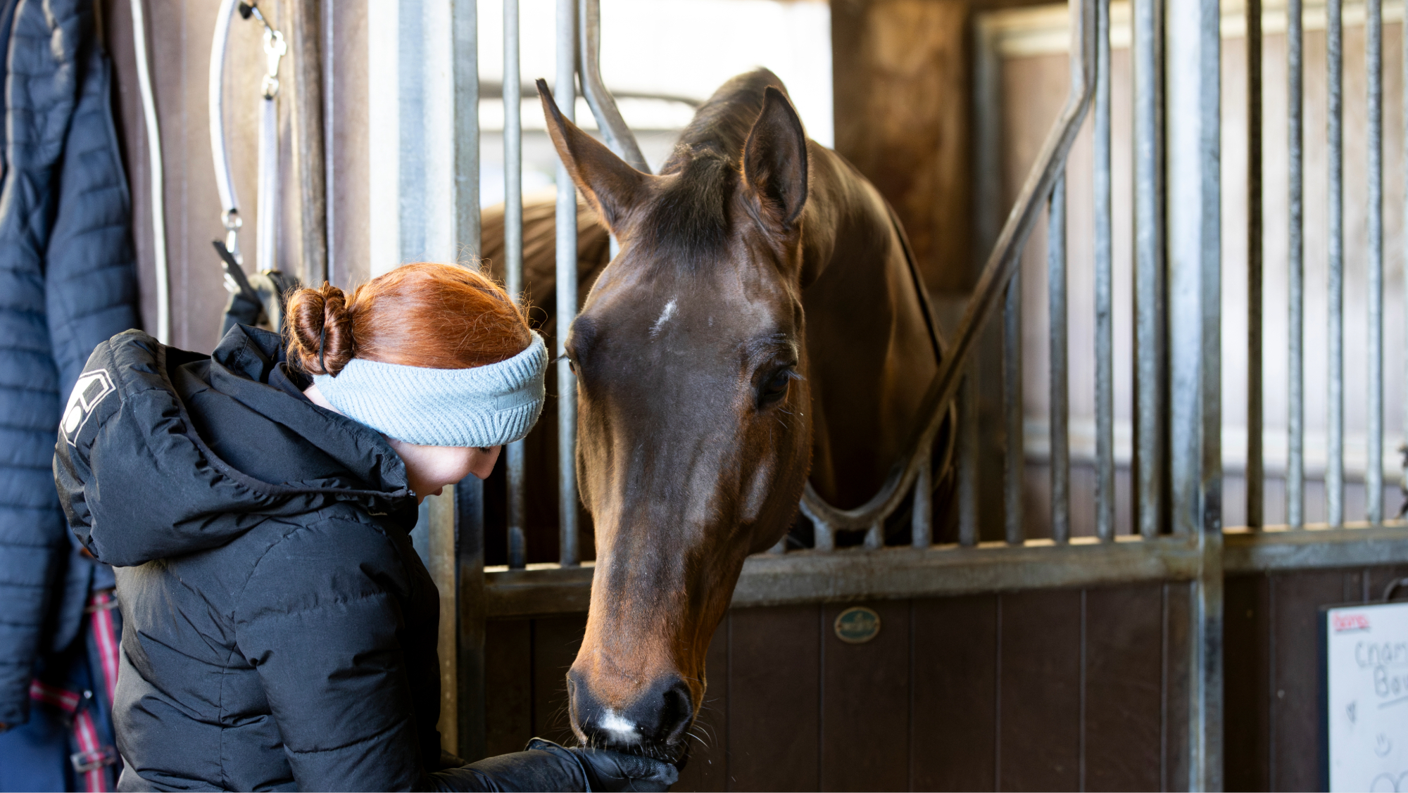 World Cup winner Becky Moody&rsquo;s horse Jagerbomb relaxing in his stable at home