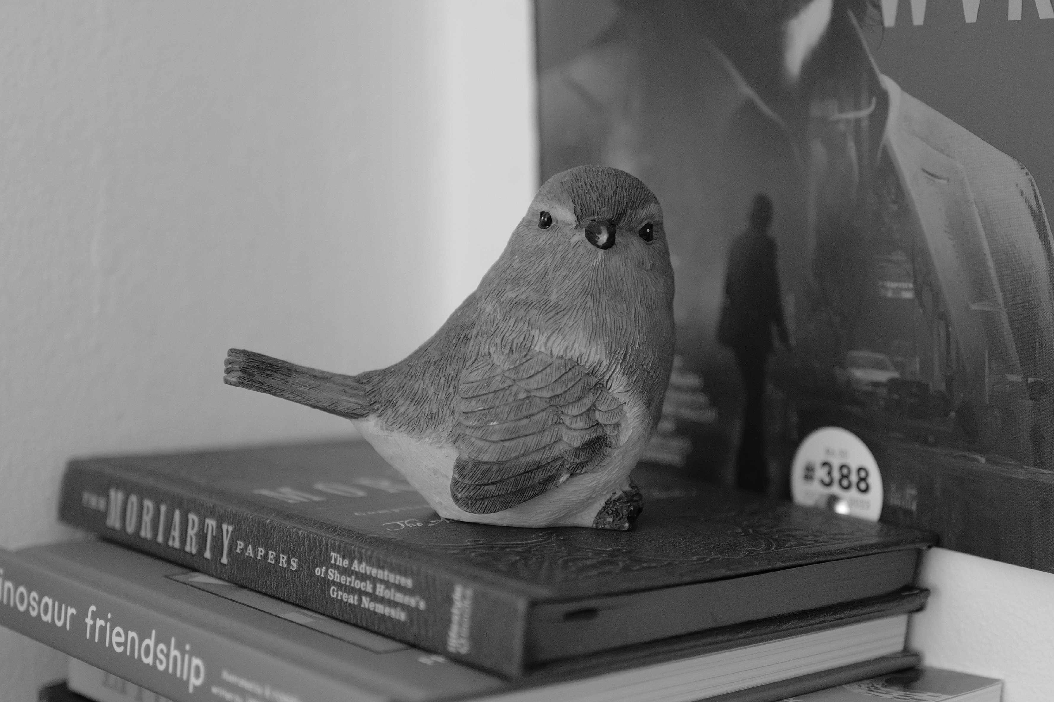 A photo taken on a Leica Q3 Monochrom black-and-white camera