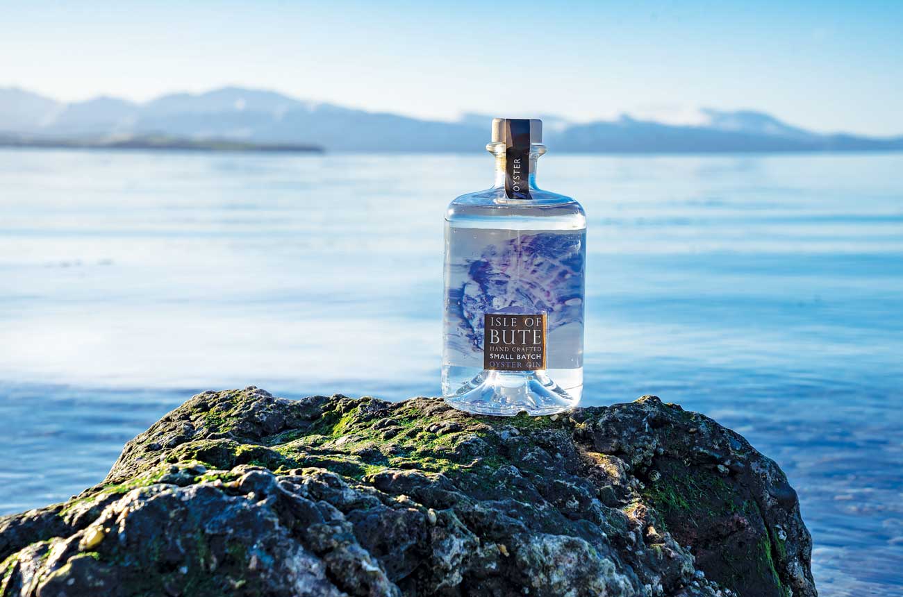 Isle of Bute&rsquo;s Small Batch Oyster Gin with sea background