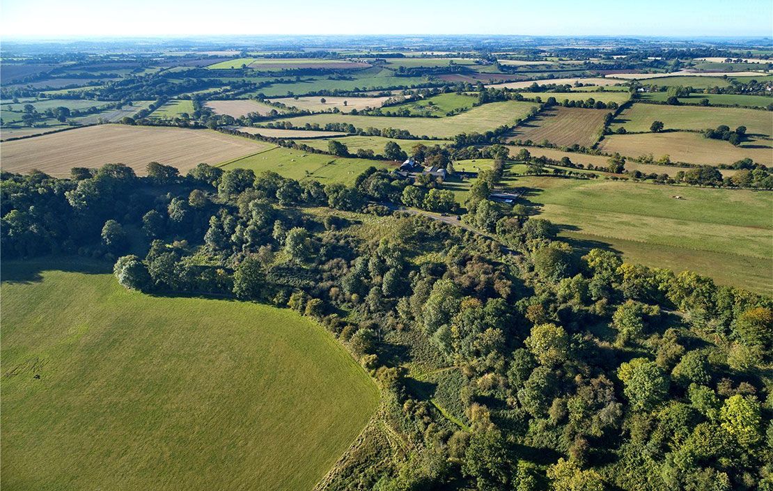 Woodland for sale in Oxfordshire