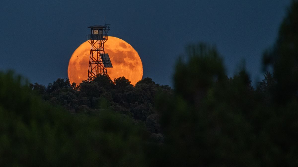 'Strawberry Moon' 2025: June's full moon is about to break an annual record