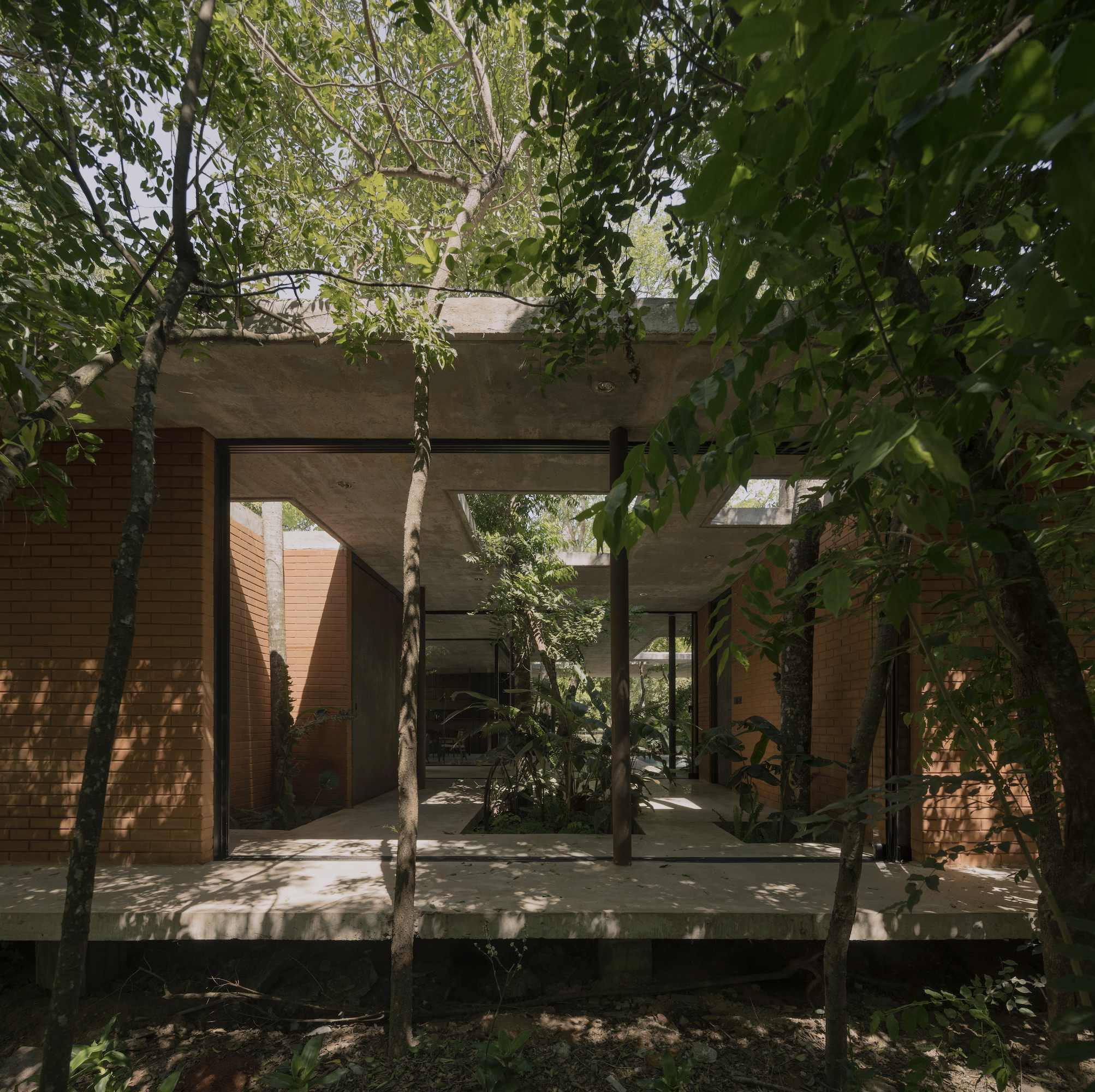 A Forest in the House, Paraguay, by Equipo de Arquitectura