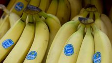 wd-banans_-_saul_loebafpgetty_images.jpg