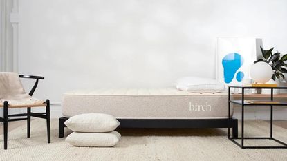 Birch by Helix mattress in neutral bedroom 