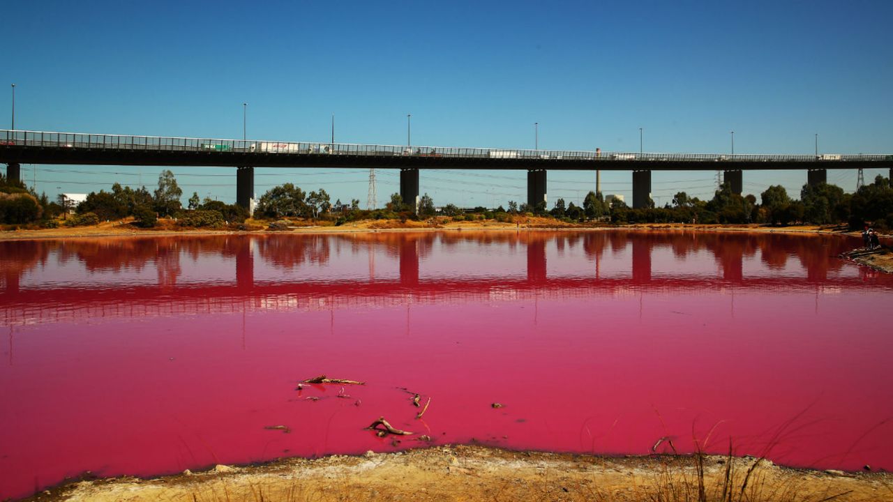 Melbourne pink lake Westgate Park