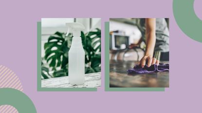 a bottle of vinegar in front of a plant, and a woman wiping a surface with a microfiber cloth, against a green and purple background, to illustrate what not to clean with vinegar