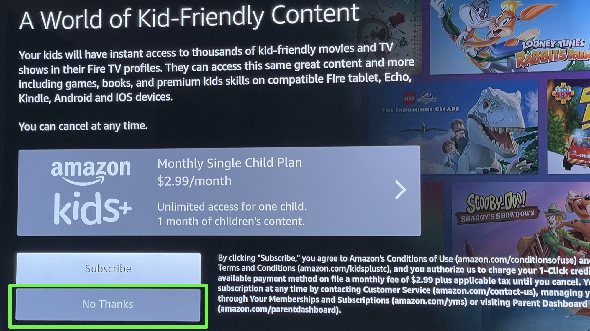 fire tv setup screen offer for Amazon Kids+ with the No Thanks box highlighted