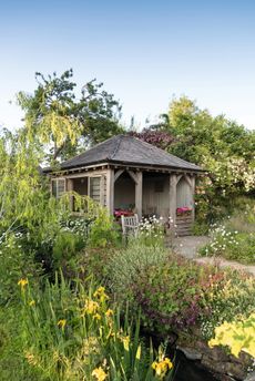 The summerhouse with potted pink pelargoniums and Rosa banksiae ‘Alba Plena’. The garden at Midsummer House, Oxfordshire. Credit: Mimi Connolly