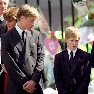 Prince William Prince Harry Princess Diana funeral