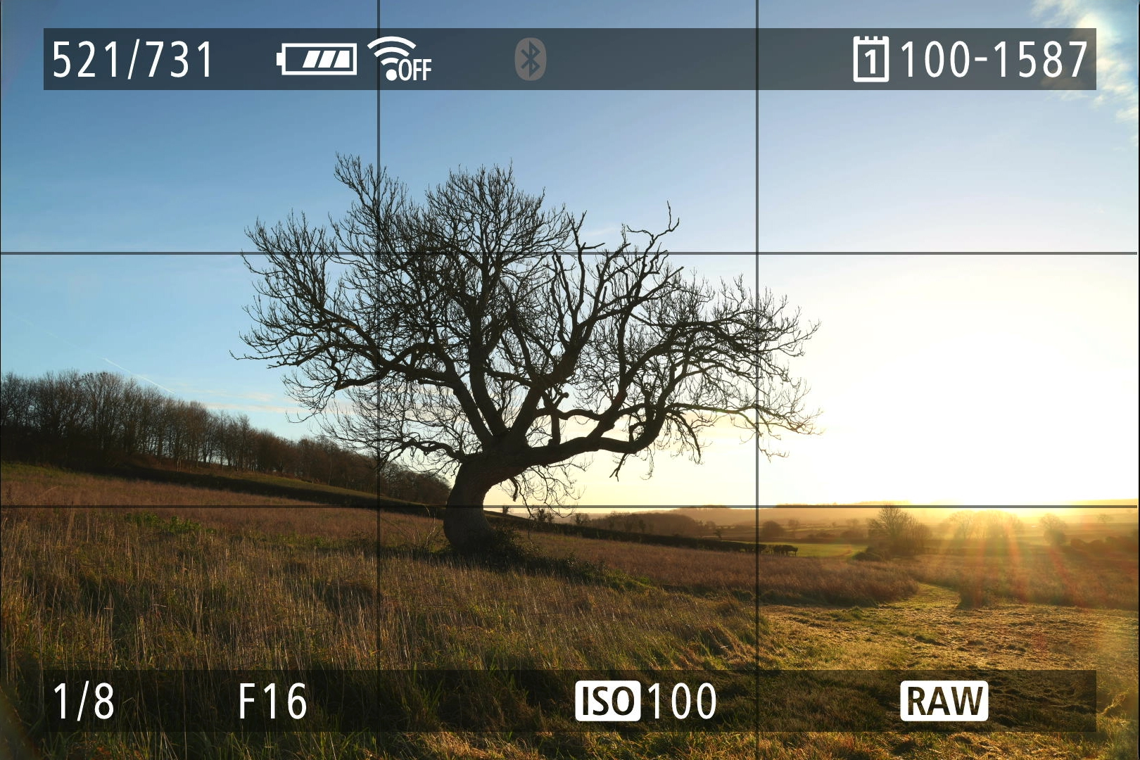 Screenshot inside a Canon EOS R5 Mark II's EVF showing an image of a tree silhouetted at sunrise