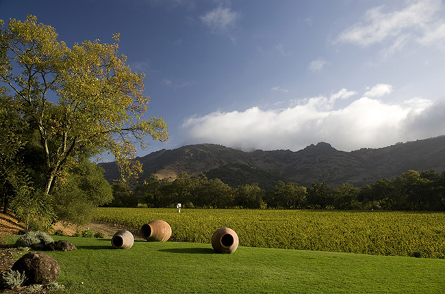 california vineyards