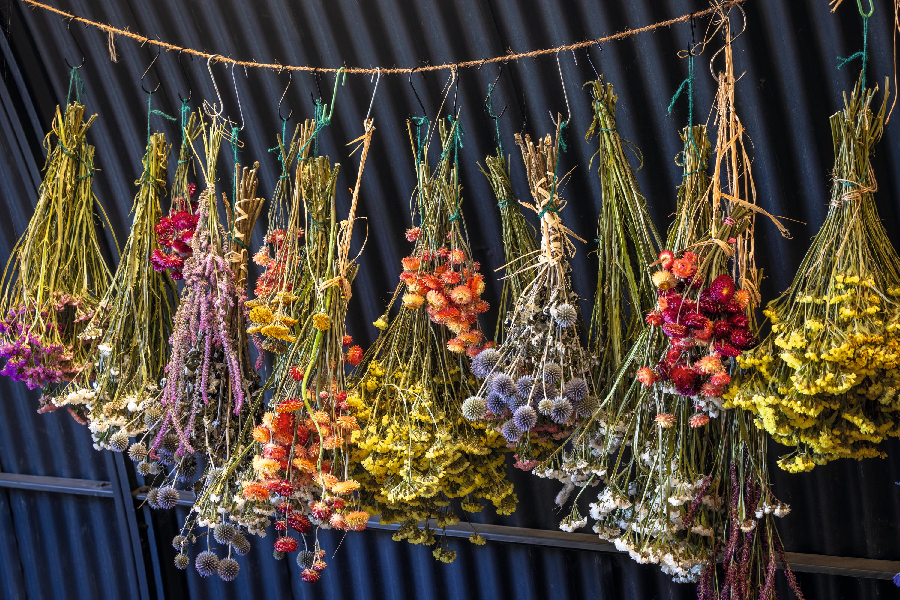 Chippy Flower Farm in Oxfordshire