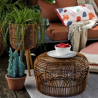 rattan table with cactus plant