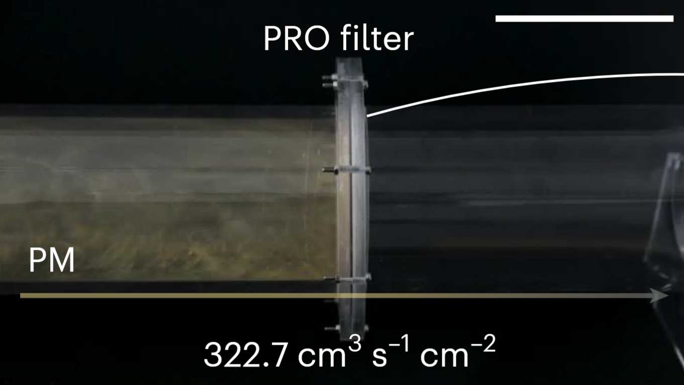 Bio-inspired capillary force-driven super-adhesive filters