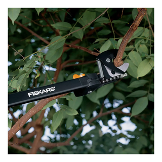 A large tree pruner