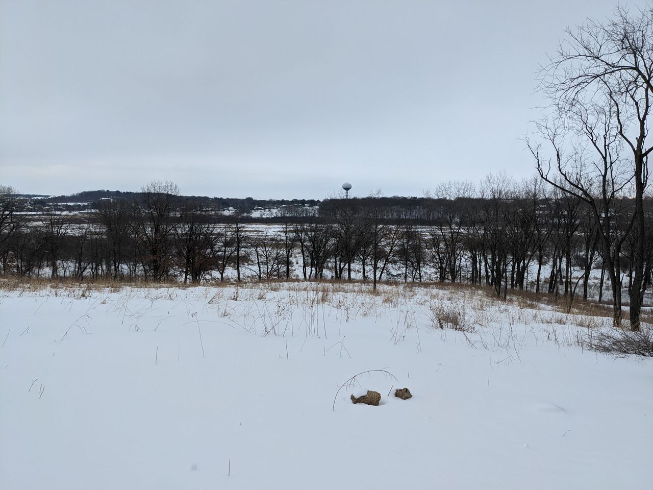 Pixel 4a 5G camera sample wide-angle