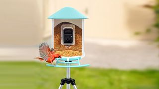 Netvue bird feeder camera