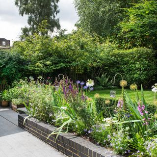 Raised border next to a patio with a low black brick wall built to create a raised area for planting tall flowers