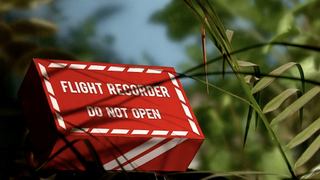 an airplane black box hidden by some plants