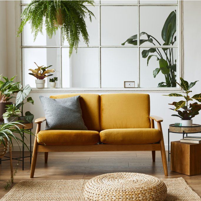 Modern Indoor Plants That Are Made For Contemporary Homes