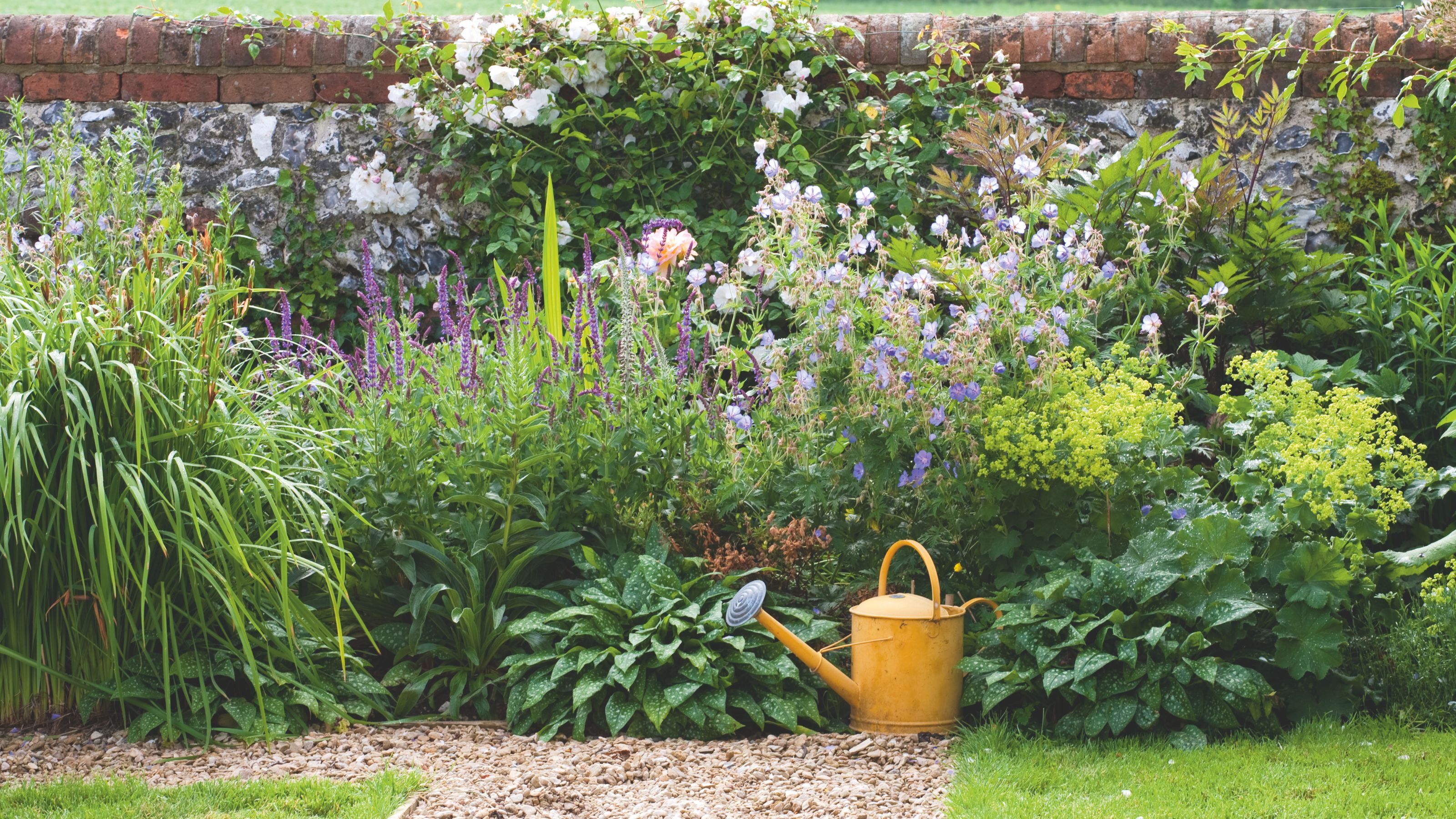 garden border with watering can